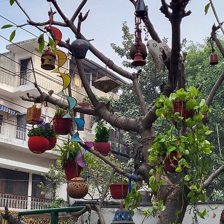 Delhi Bed And Breakfast Nova Deli Exterior foto